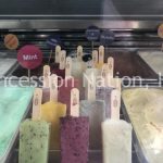 Moop pops gelato truck